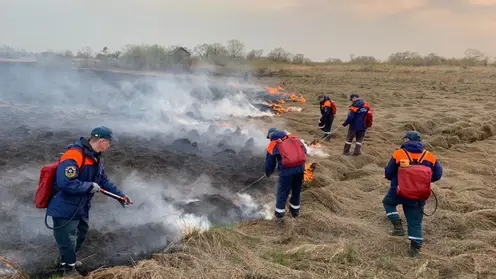 В Хабаровском крае объявили режим ЧС из-за лесных пожаров