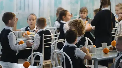 Фракция "Единой России" взяла на контроль ситуацию со школьным питанием в Красноярске