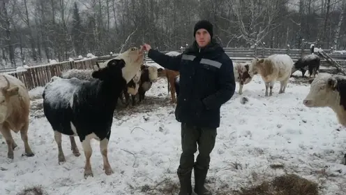 В Красноярском крае личные подсобные хозяйства получат 115 млн рублей на развитие животноводства