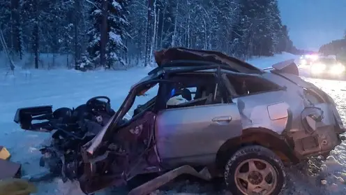 Три человека погибли и один пострадал в ДТП иномарки с грузовиком в Томской области