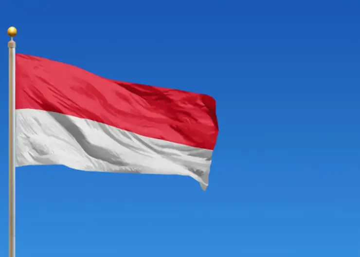 Индонезия может присоединиться к блоку БРИКС